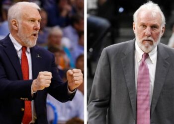 micky popovich