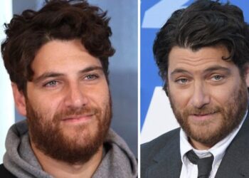 adam pally net worth