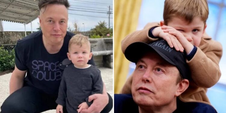 Who Is Griffin Musk? All About Elon Musk’s Eldest Son griffin musk